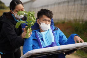 生活介護さくらんぼハウス